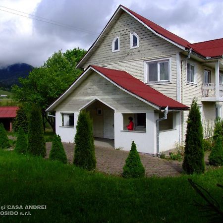 Casa Andrei Vatra Dornei Villa Dealu Floreni Exterior photo