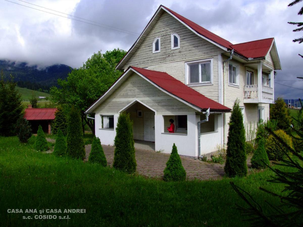 Casa Andrei Vatra Dornei Villa Dealu Floreni Exterior photo
