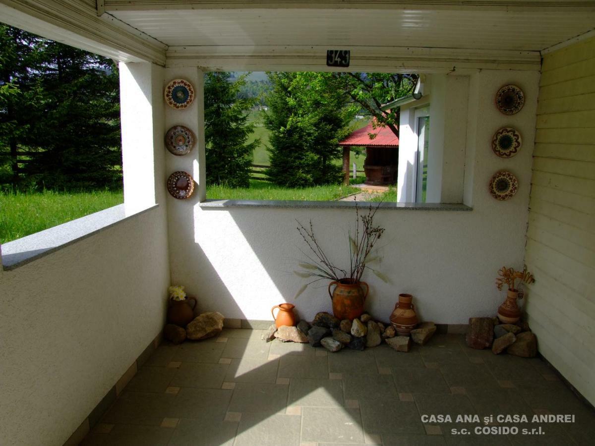 Casa Andrei Vatra Dornei Villa Dealu Floreni Exterior photo